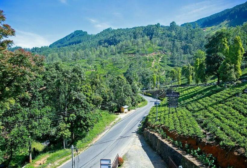 Fotos del hotel Glenloch Tea Factory:  7