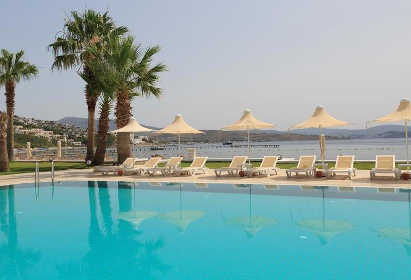 Fotos del hotel Club Sardunya:  11