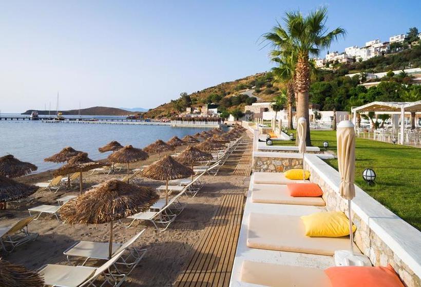 Fotos del hotel Club Sardunya:  8