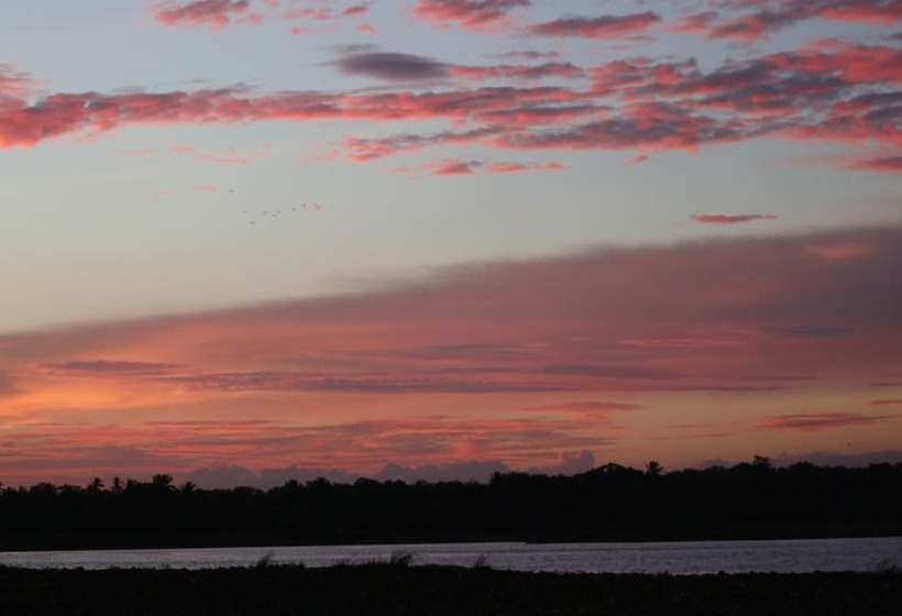 Fotos del hotel Leopard City Hostel:  9