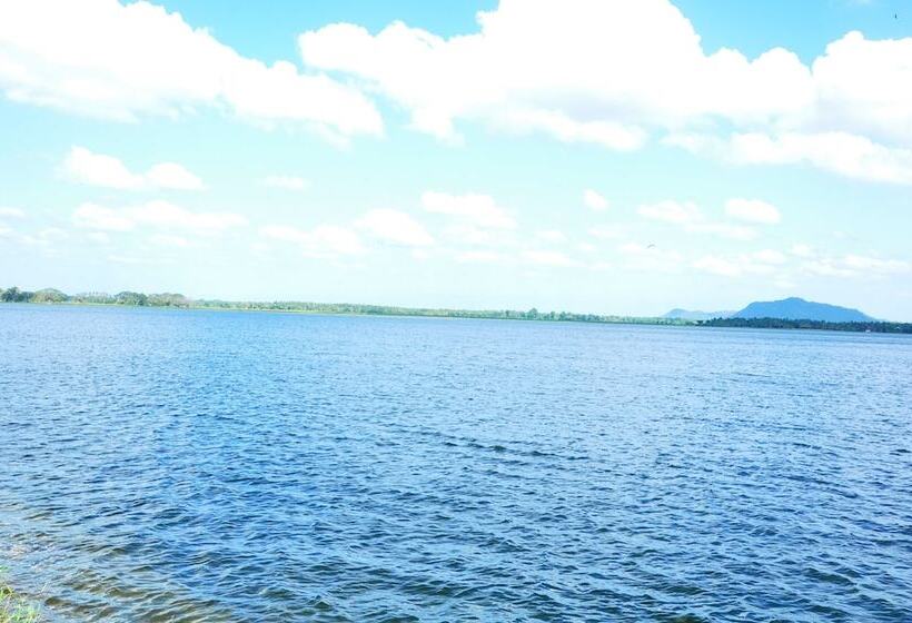 Fotos del hotel Leopard City Hostel:  5