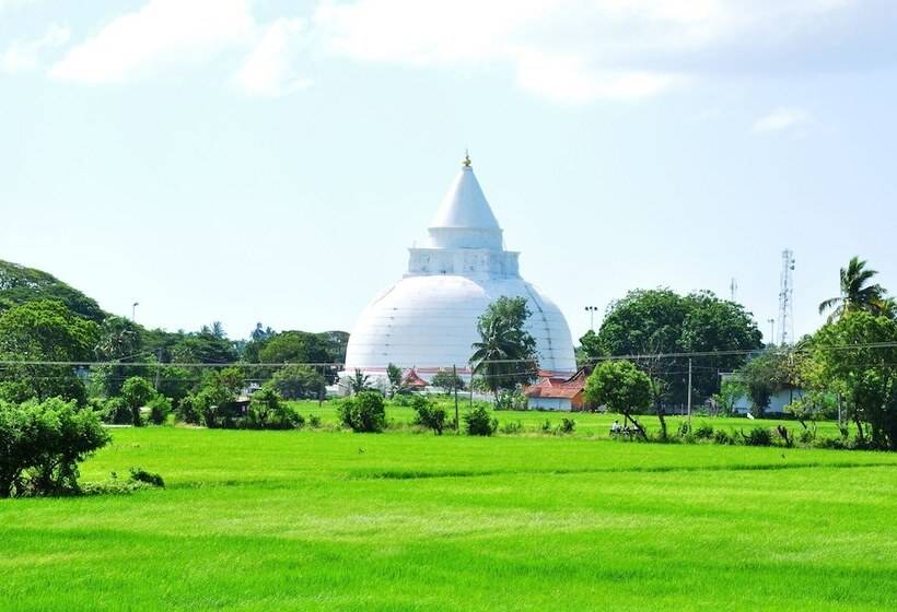 Fotos del hotel Leopard City Hostel:  11