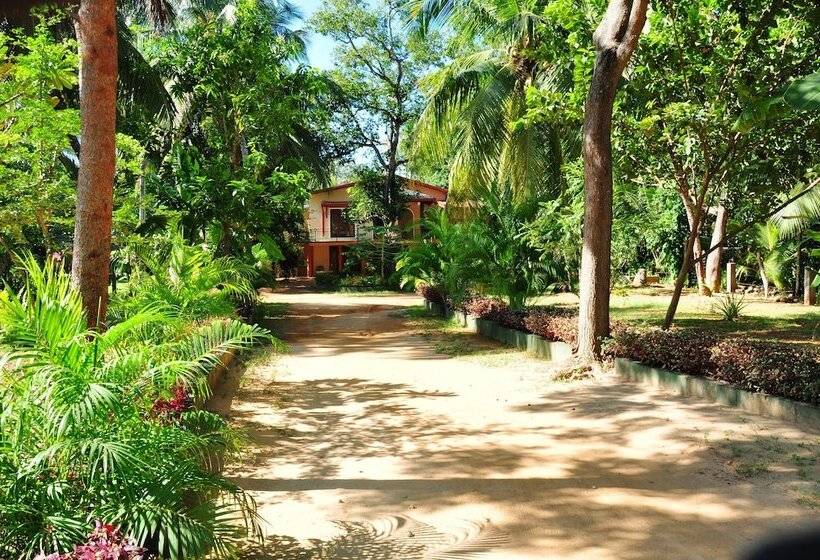 Fotos del hotel Leopard City Hostel:  23