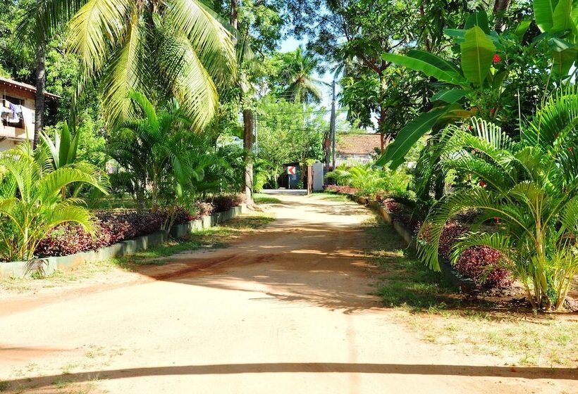 Fotos del hotel Leopard City Hostel:  16