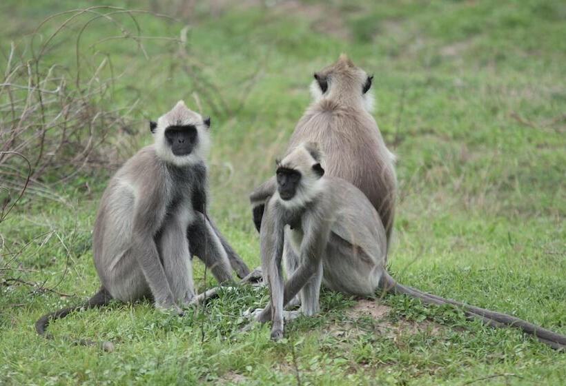 Fotos del hotel Leopard City Hostel:  4