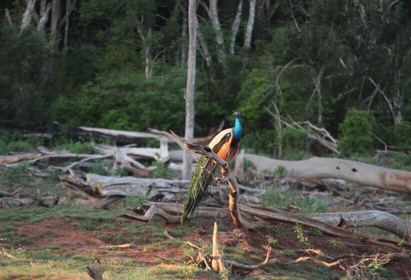 Fotos del hotel Leopard City Hostel:  8