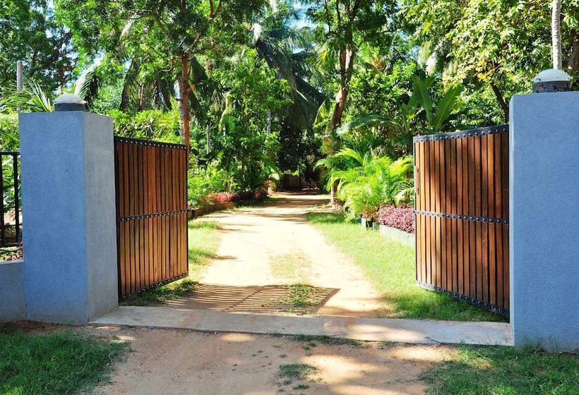 Fotos del hotel Leopard City Hostel:  18