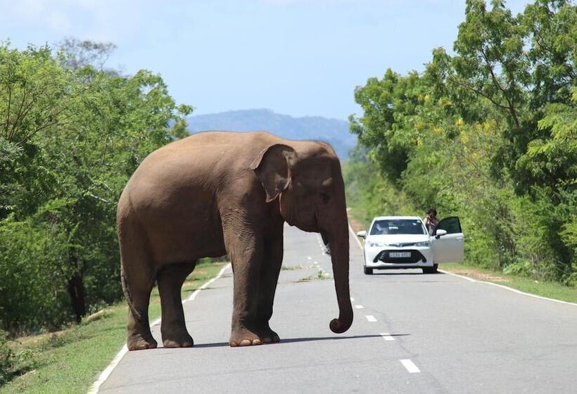 Fotos del hotel Leopard City Hostel:  24