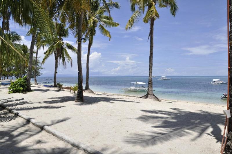 Fotos del hotel Little Mermaid Dive Resort:  6