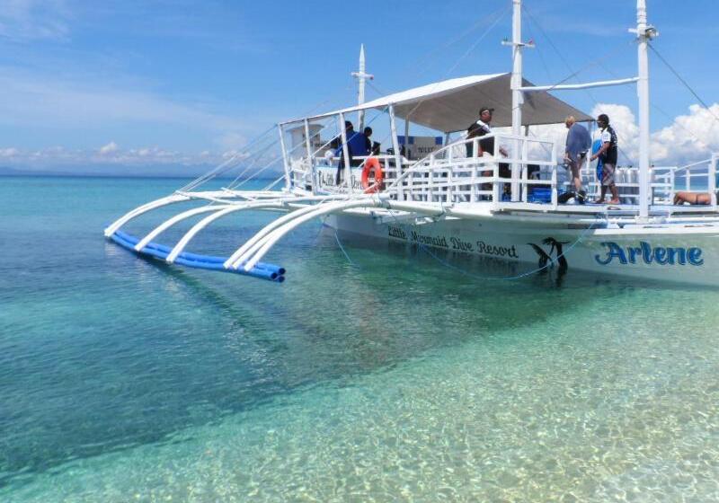 Fotos del hotel Little Mermaid Dive Resort:  12