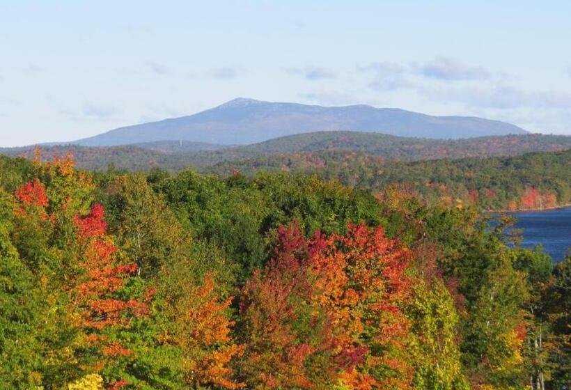 Fotos del hotel Maguire House Bed And Breakfast:  13