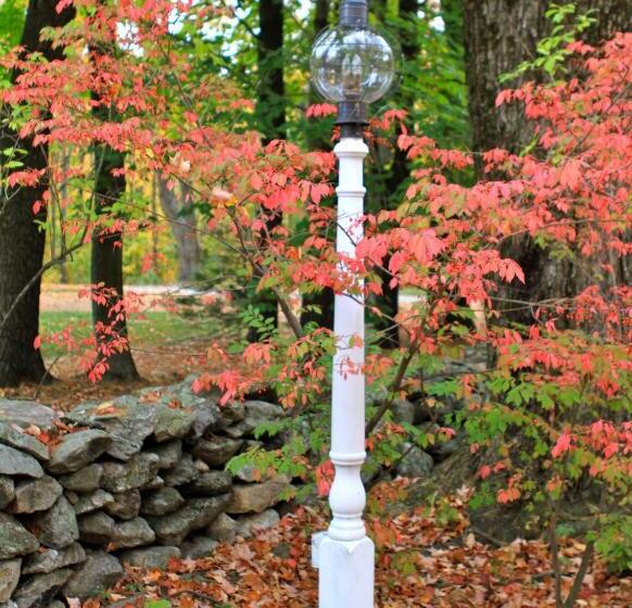 Fotos del hotel Maguire House Bed And Breakfast:  9