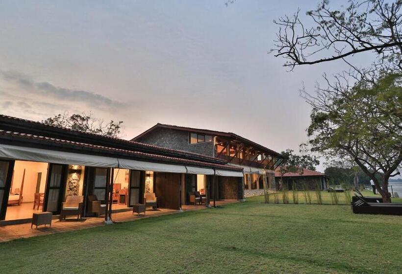 Fotos del hotel Arie Lagoon:  6