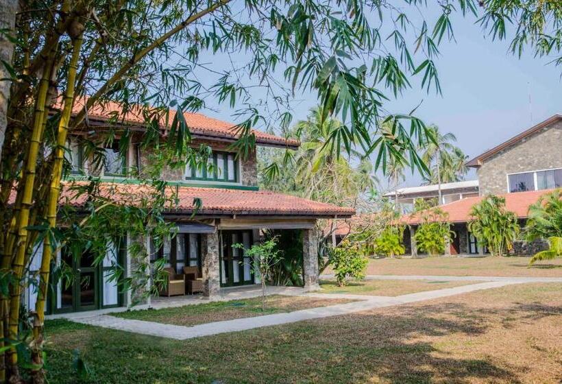 Fotos del hotel Arie Lagoon:  15