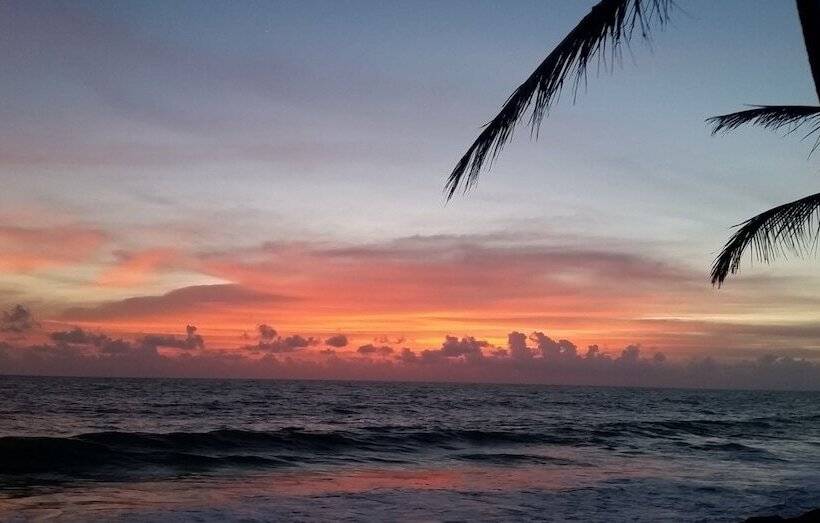 Fotos del hotel Sun N Sea:  8