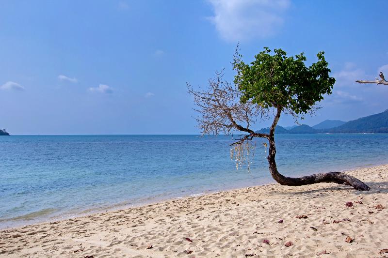 Fotos del hotel White Knot Koh Chang By D Varee:  5