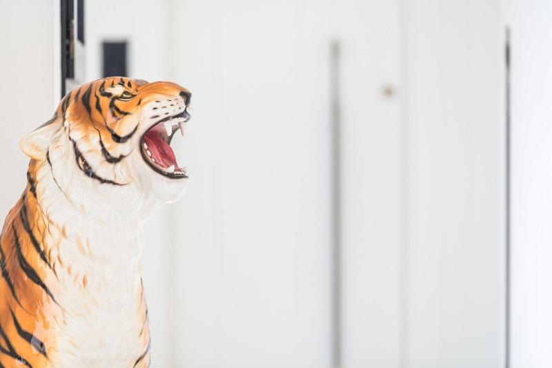 Fotos del hotel Boutique Hotel Villa Gala:  18