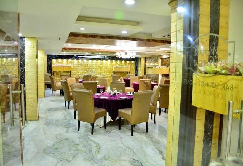 Fotos del hotel S. K Crown Park Naraina:  18