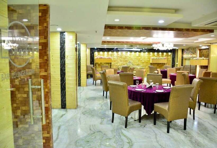 Fotos del hotel S. K Crown Park Naraina:  16