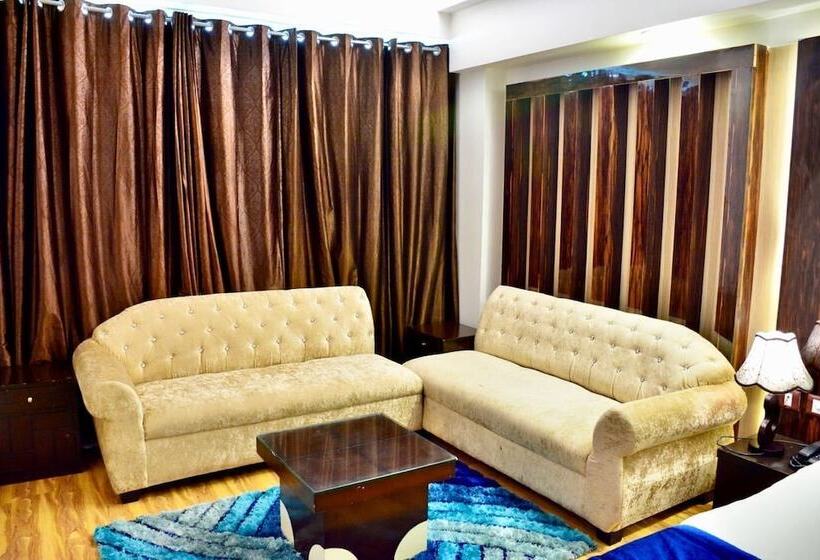 Fotos del hotel S. K Crown Park Naraina:  7