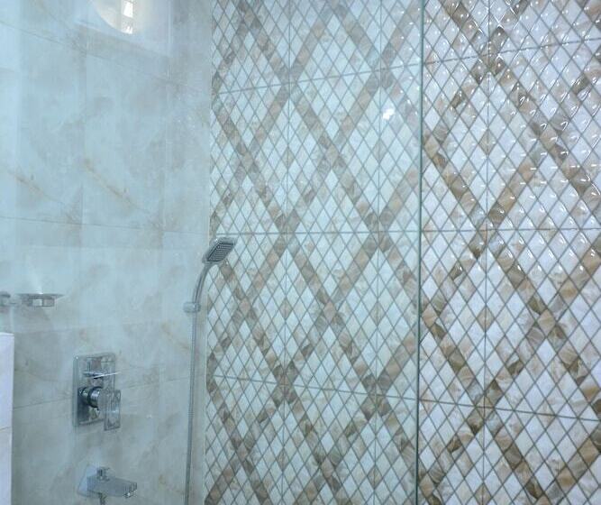 Fotos del hotel S. K Crown Park Naraina:  6