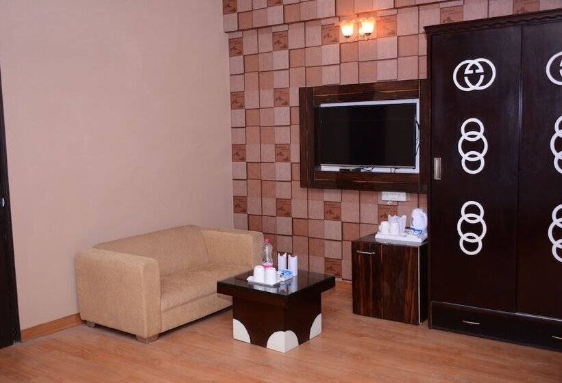 Fotos del hotel S. K Crown Park Naraina:  3