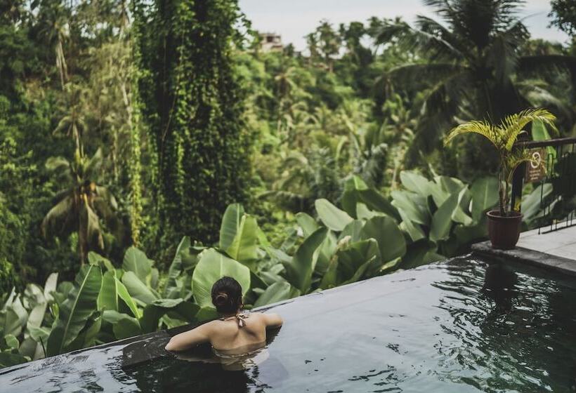 Fotos del hotel Amora Ubud Boutique Villas:  20