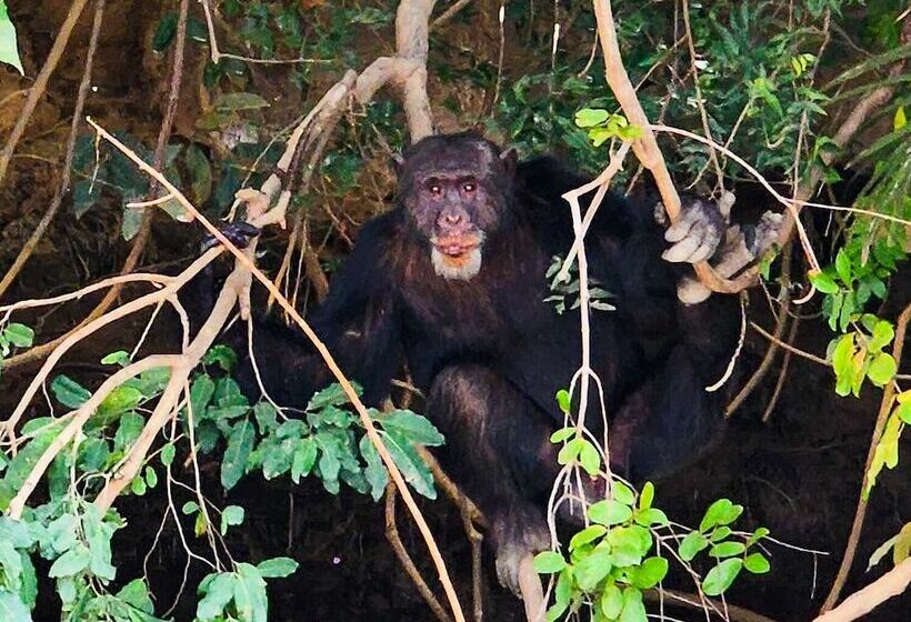 Fotos del hotel Balafon Beach Resort:  20