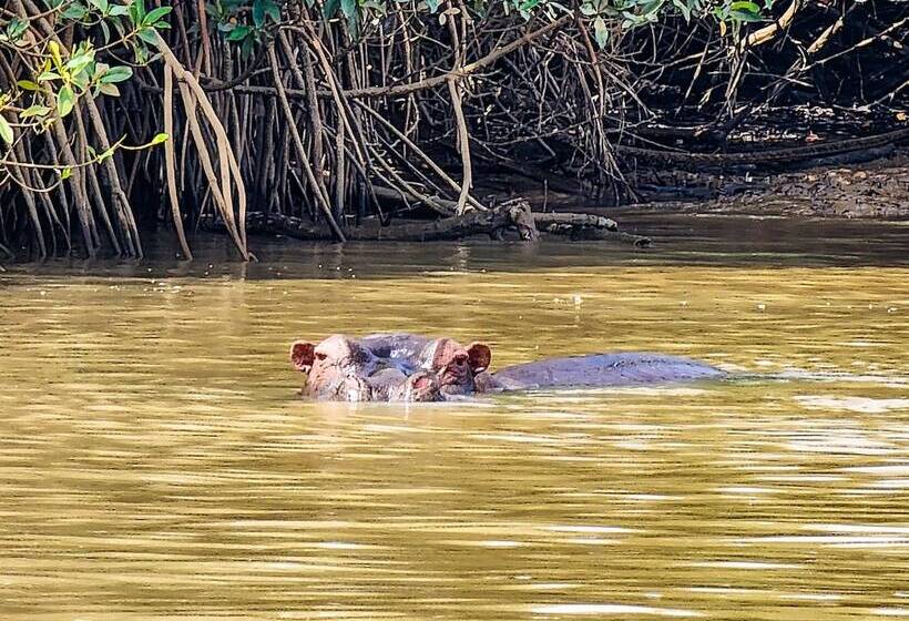 Fotos del hotel Balafon Beach Resort:  18