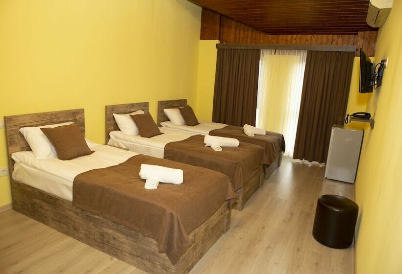 Fotos del hotel Holiday Villa:  8