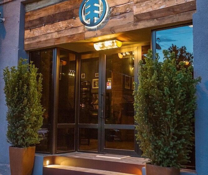 Fotos del hotel Timber Boutique:  18