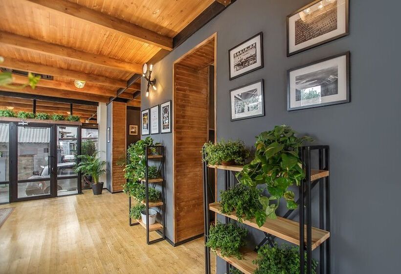 Fotos del hotel Timber Boutique:  15