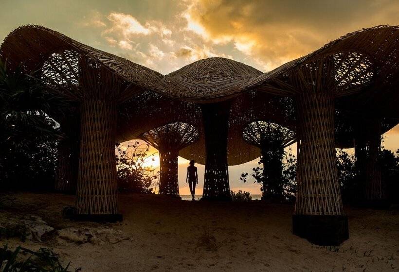 Fotos del hotel Palmaïa  The House Of Aïa Wellness Enclave All Inclusive:  26