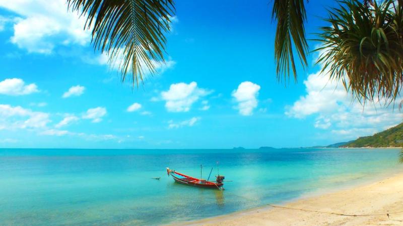 Fotos del hotel Black & White Bungalows:  4