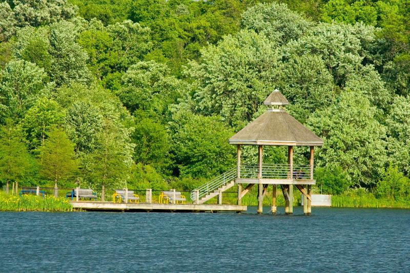 Fotos del hotel Cambria Hotel College Park:  3