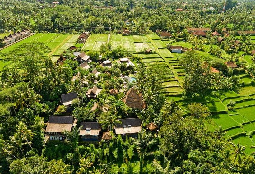 Fotos del hotel Blue Karma  Ubud:  14