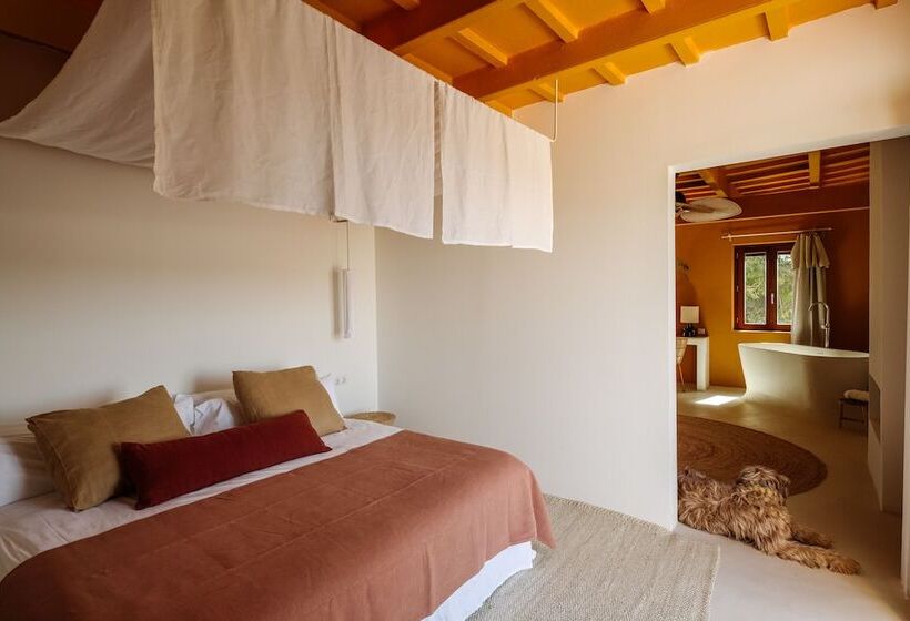 Fotos del hotel Antic Menorca  Adults Only:  9