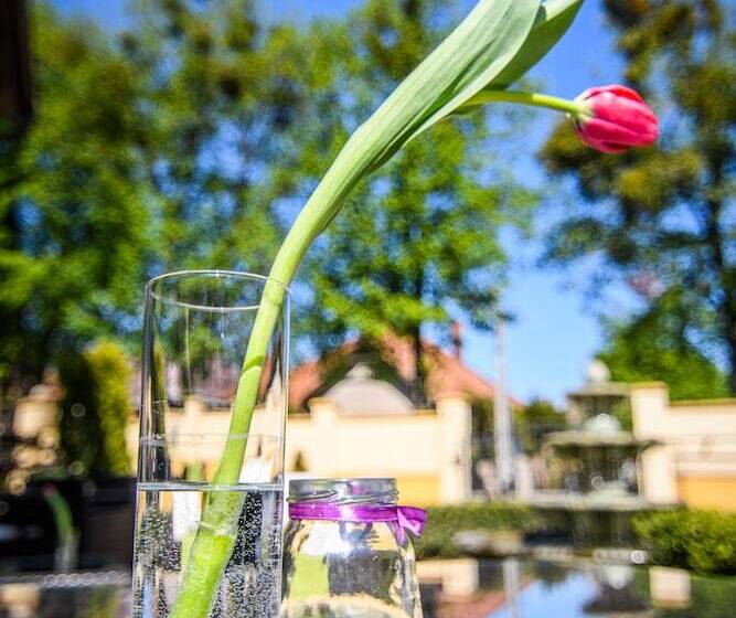 Fotos del hotel The Rooms By Dalia:  5