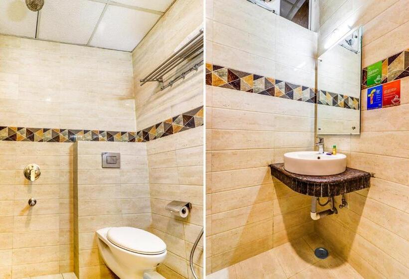 Fotos del hotel Fabexpress Travellers Inn:  13