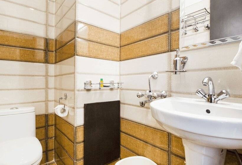 Fotos del hotel Fabexpress Travellers Inn:  19