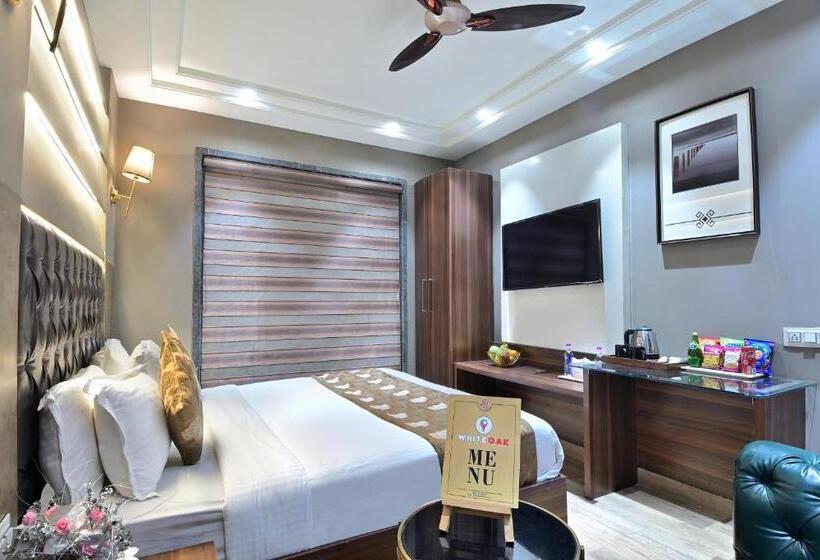 Fotos del hotel Saya @ New Delhi Railway Station:  22