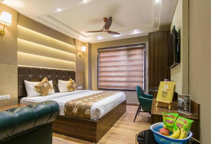 Fotos del hotel Saya @ New Delhi Railway Station:  8