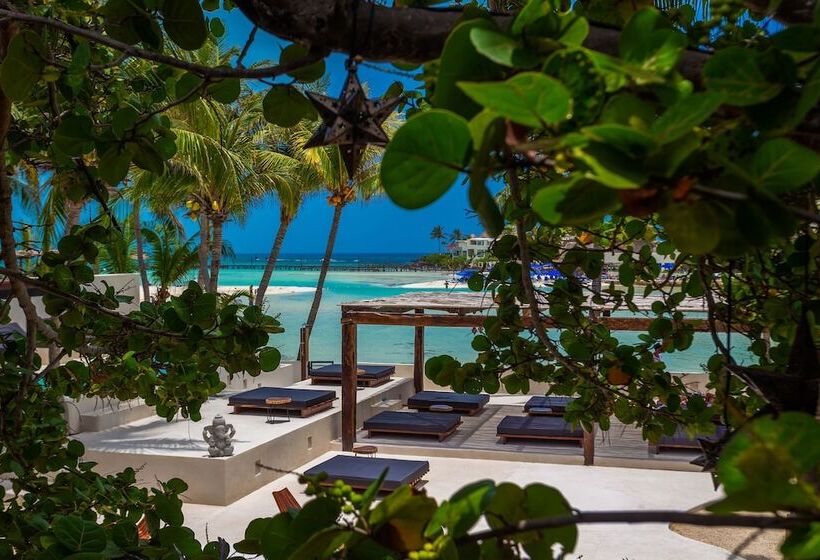 Fotos del hotel Lotus Beach Hotel - Adults Only:  12