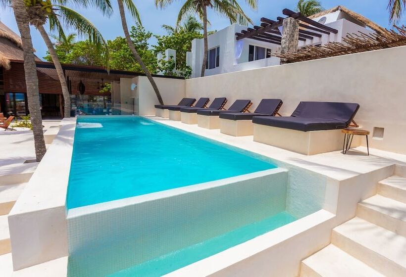 Fotos del hotel Lotus Beach Hotel - Adults Only:  9