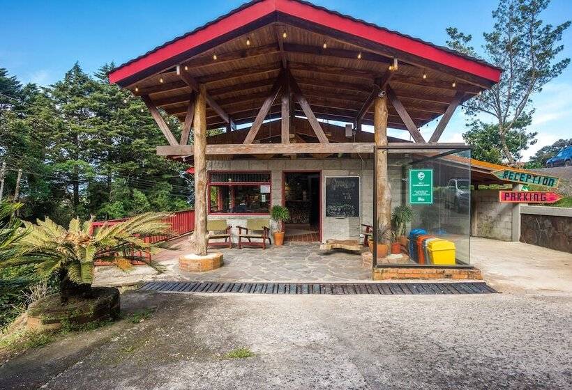 Fotos del hotel Selina Monteverde:  24