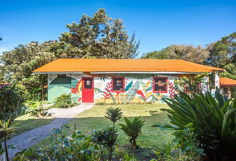 Fotos del hotel Selina Monteverde:  23