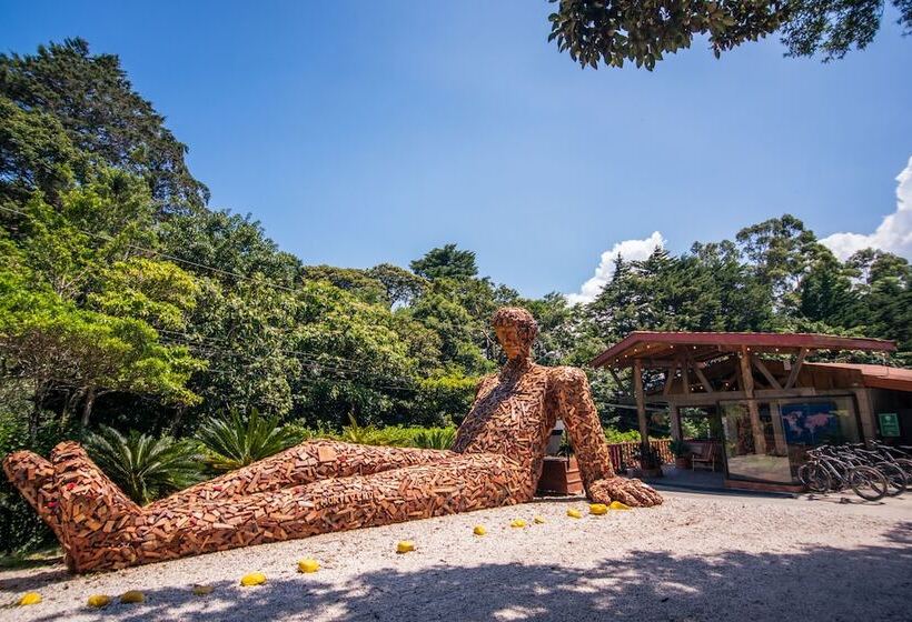 Fotos del hotel Selina Monteverde:  36