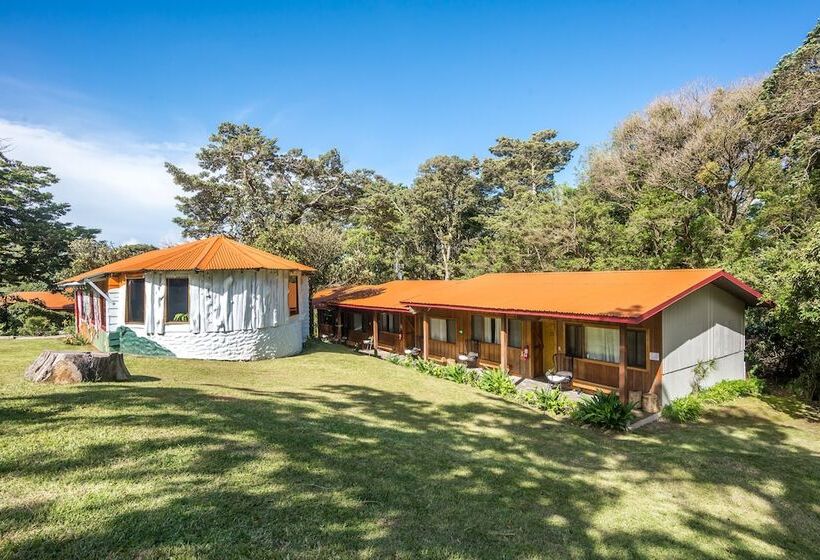 Fotos del hotel Selina Monteverde:  21