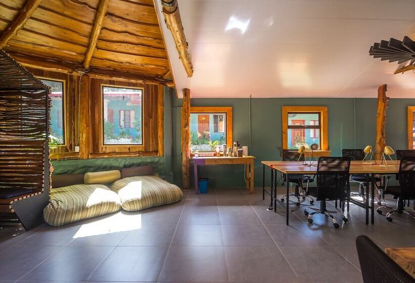 Fotos del hotel Selina Monteverde:  29