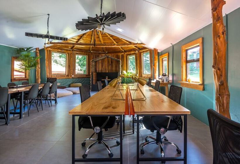 Fotos del hotel Selina Monteverde:  30